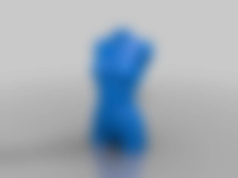 Female Torso 1