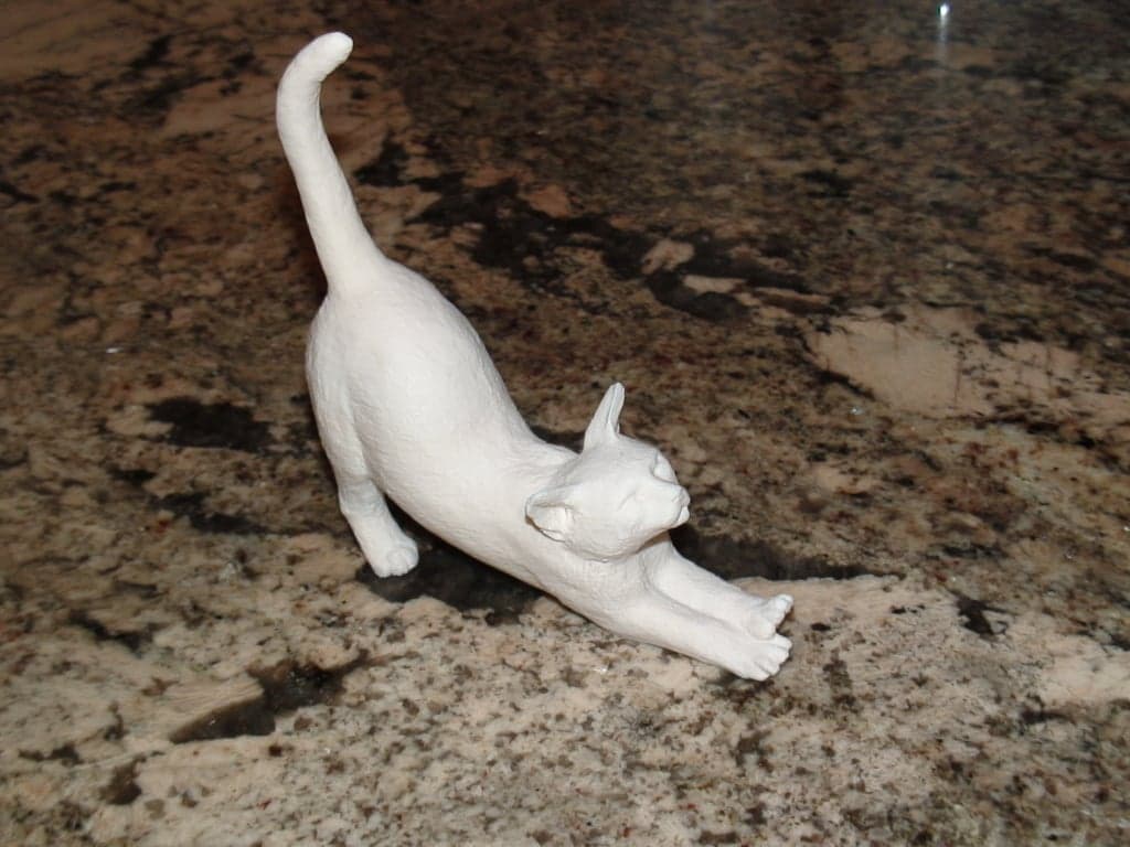 Кошачья растяжка