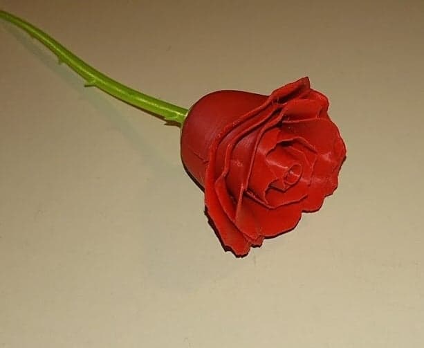Роза и стебель