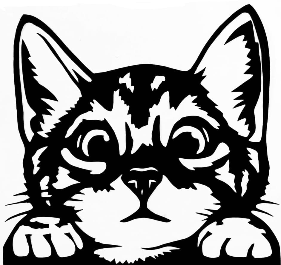 2D Кот 2