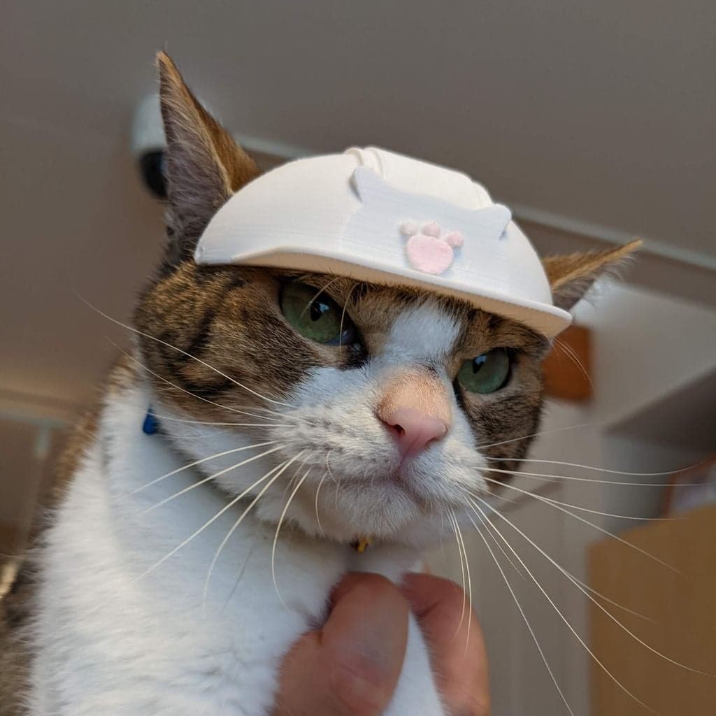 Каска для кошки